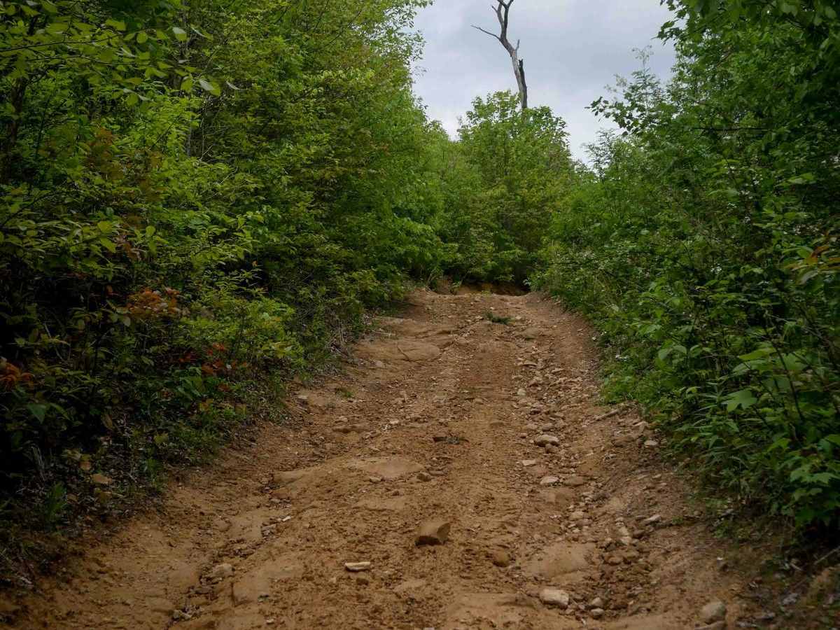 OP 80 trail photo