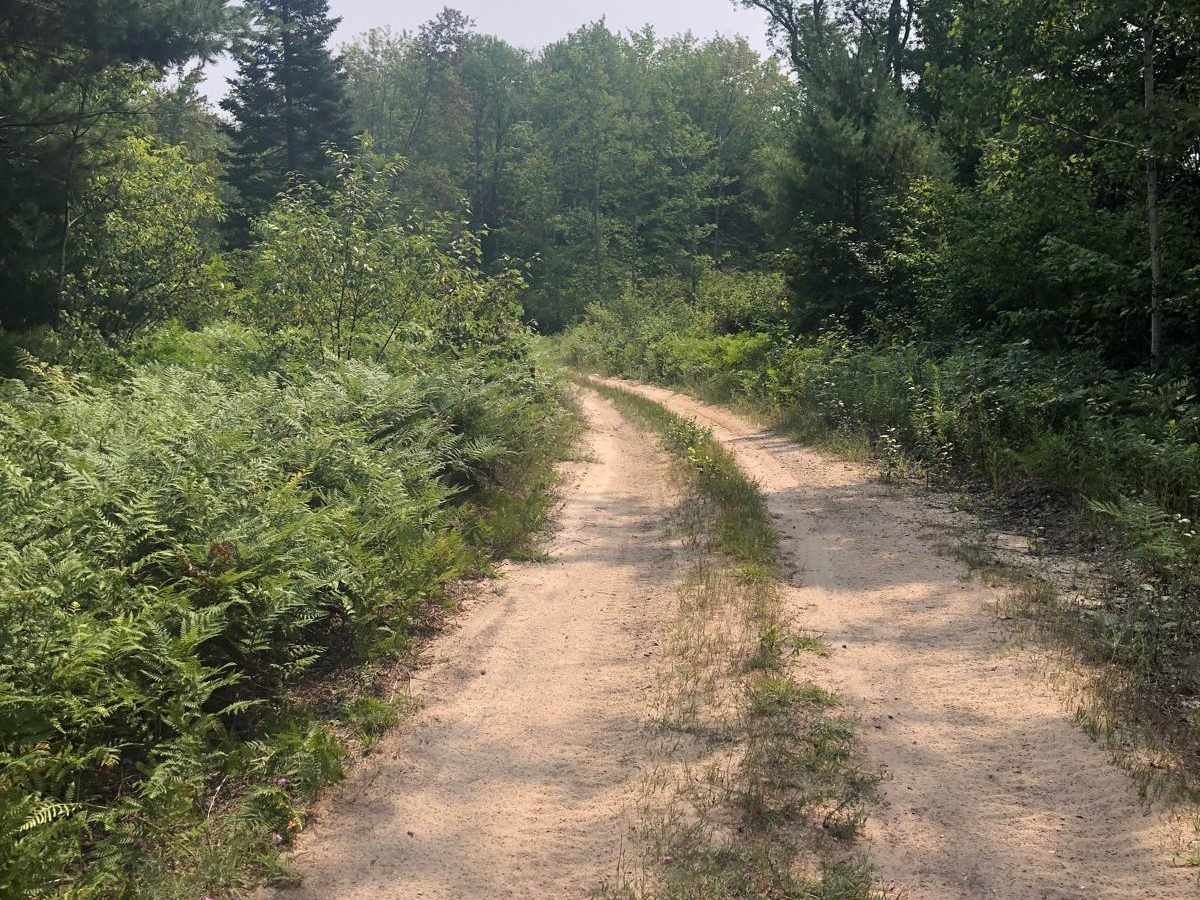 Wallin Road Part 4 trail photo