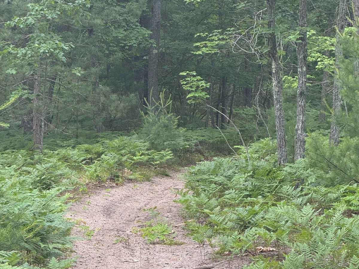 North Missaukee Central MCCCT photo 5