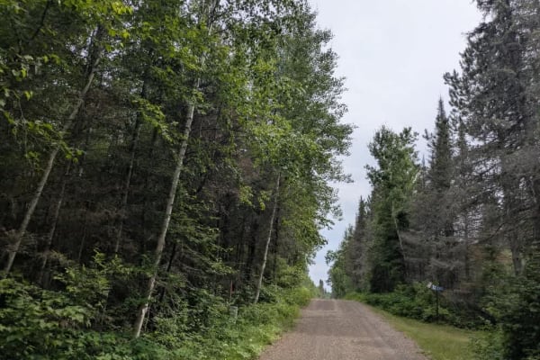 Pine Lake Access Road