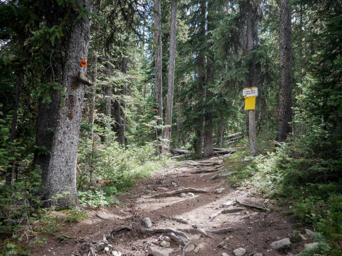 Golden Trout Lakes #83 trail photo