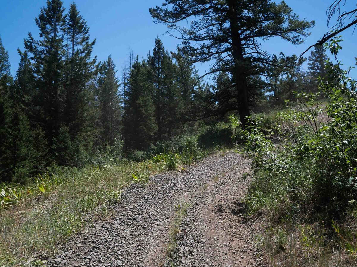 Middle South Sulphur Canyon #5243  photo 6