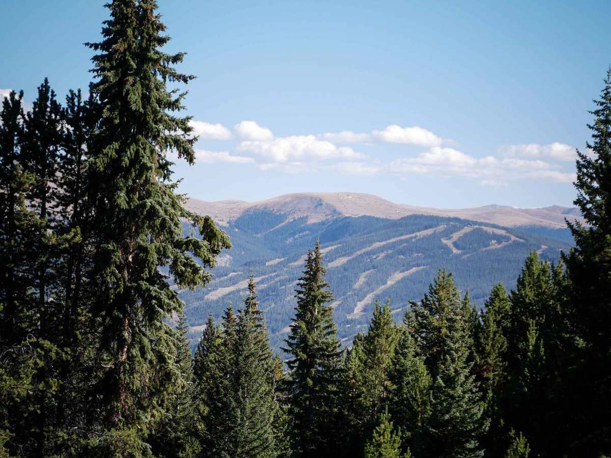Middle Tenderfoot Mountain trail photo