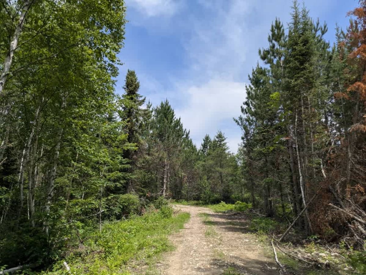 FS 248 trail photo