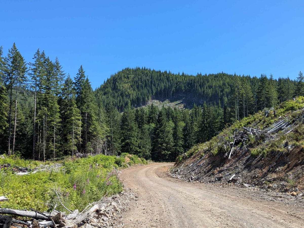 Atluck Main trail photo
