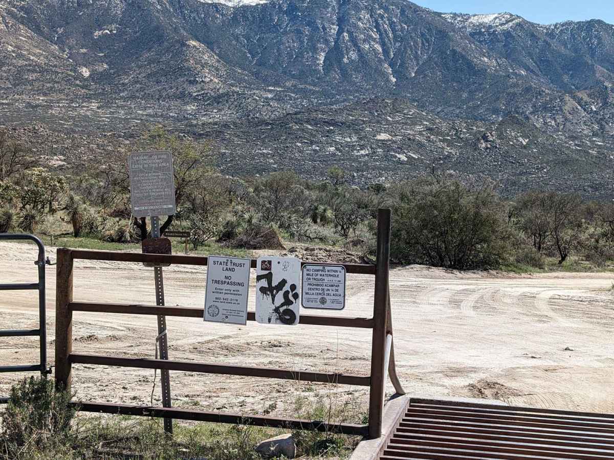 50 Year Trail Loop photo 5