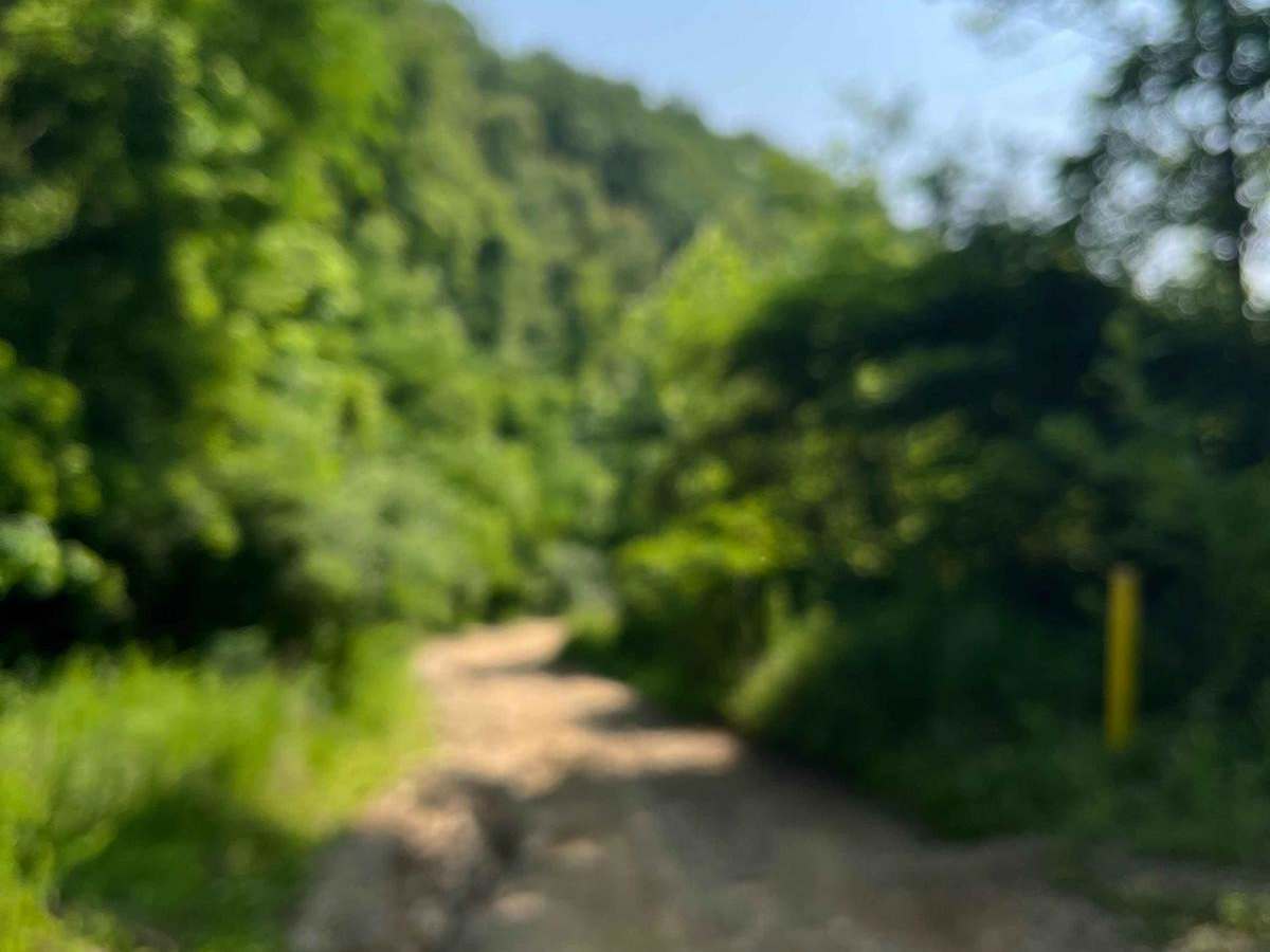 Trail 7 photo 2