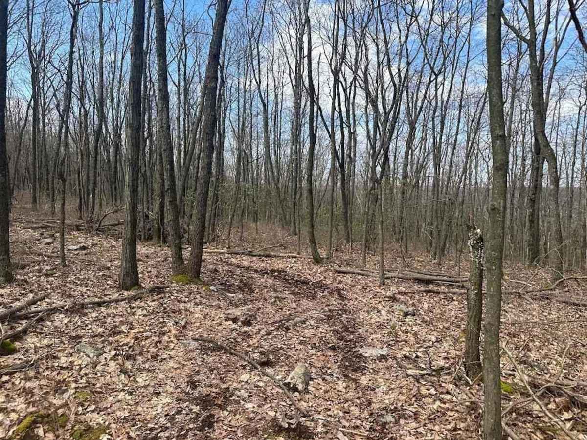 Ashland 179 trail photo