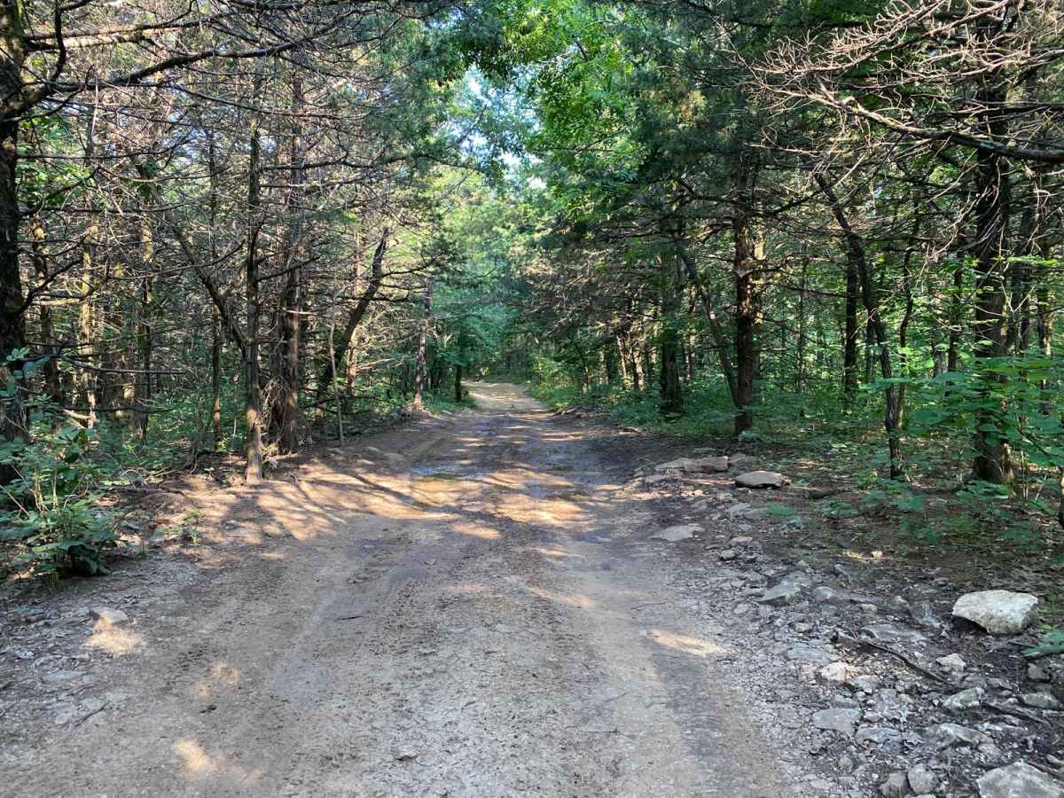 Main Loop photo 5