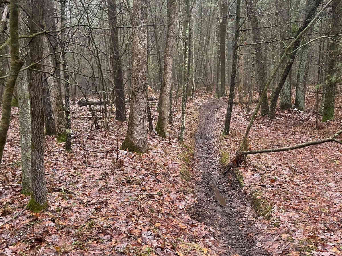 Horseshoe Motorcycle Trail Part 1 trail photo