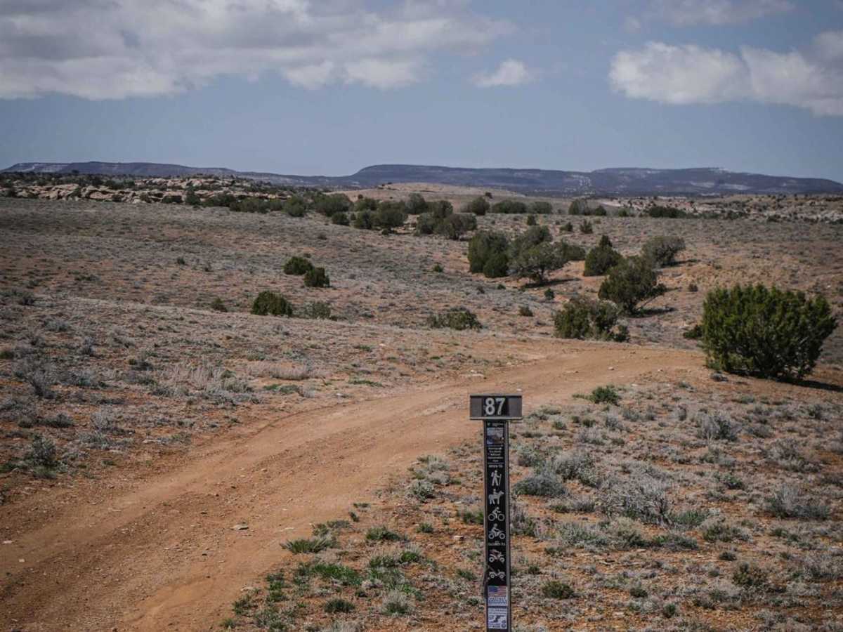 BLM Route 87 trail photo
