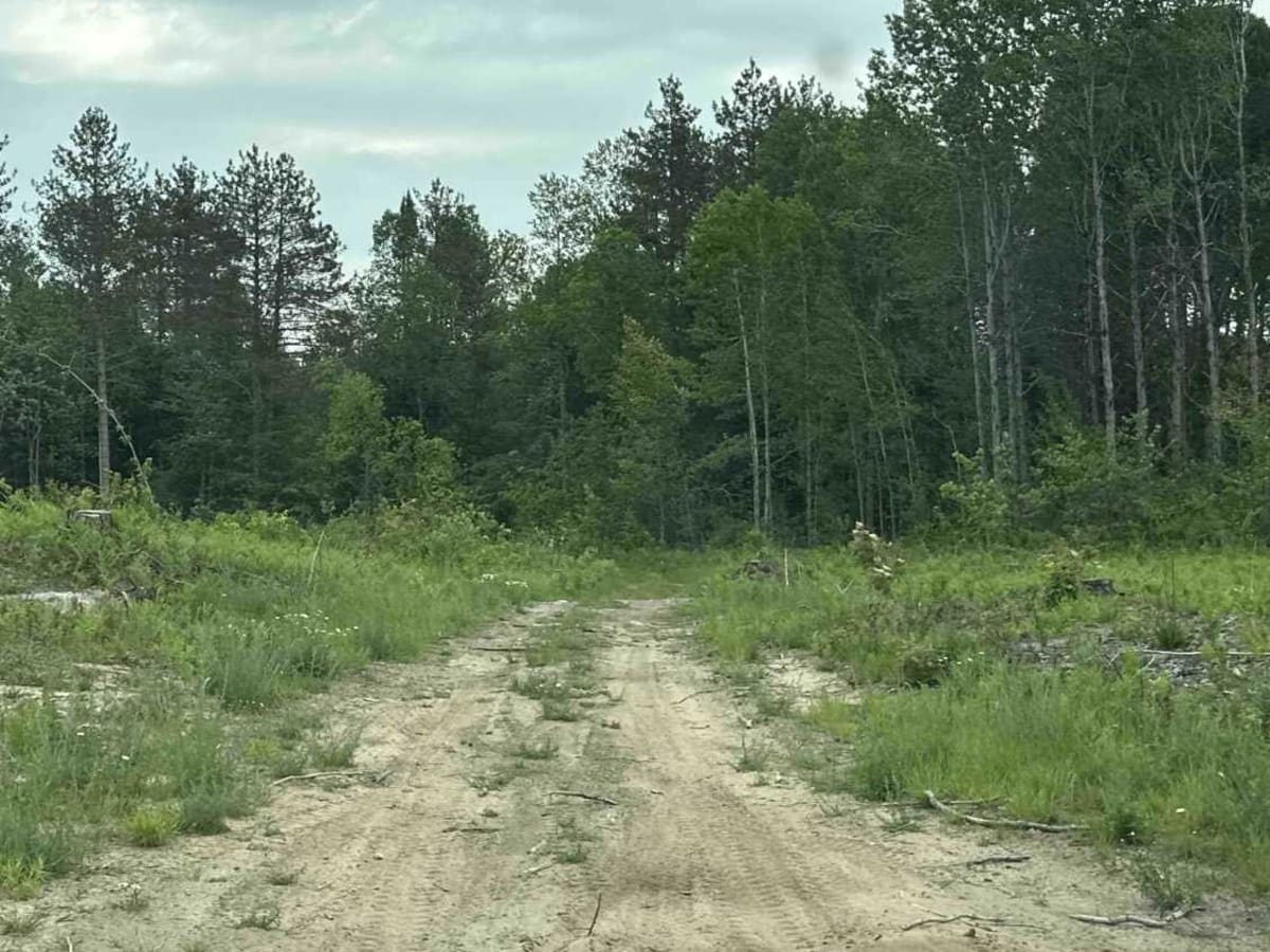 Ozark photo 4