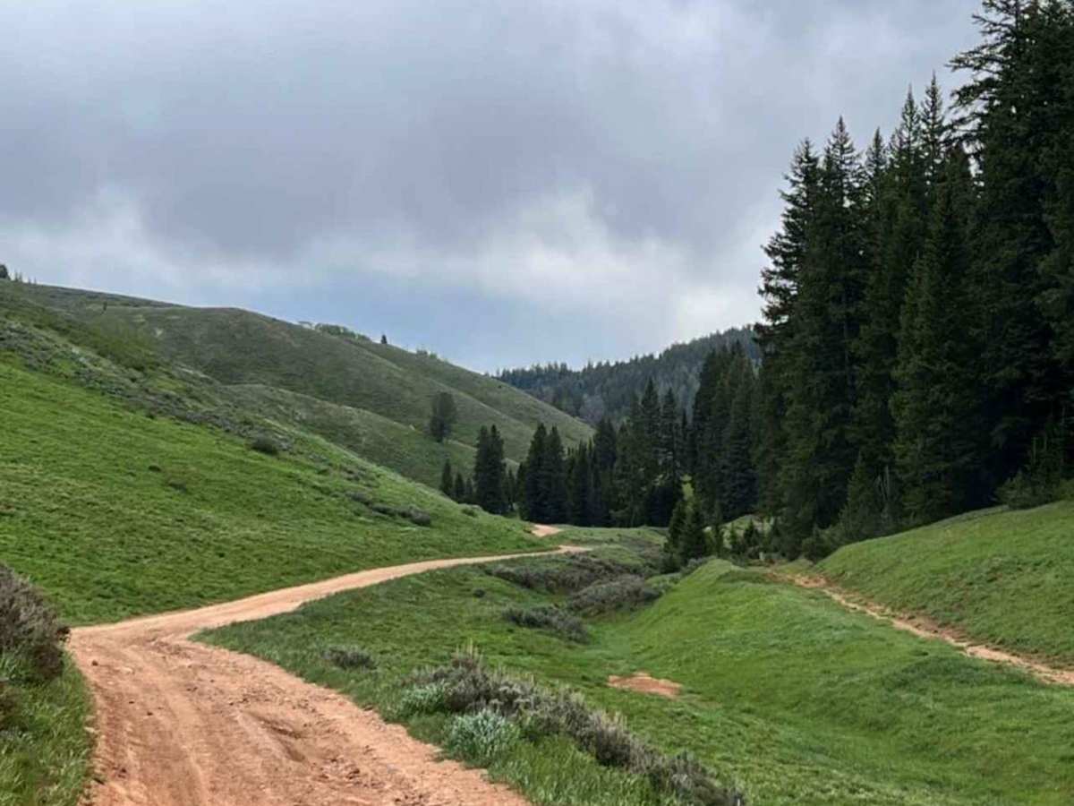 Big Springs trail photo