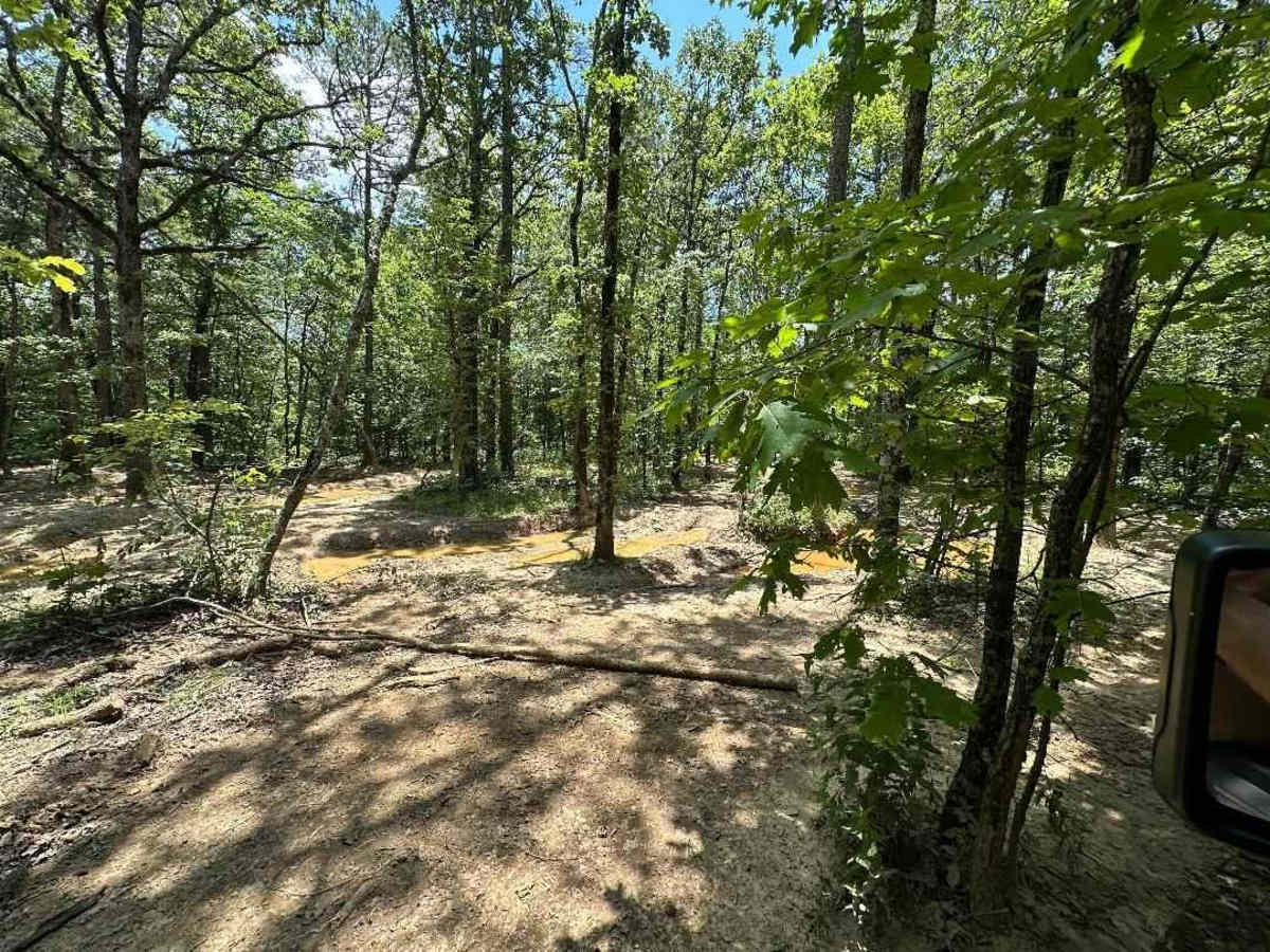 Lindsey Ridge - 1547 photo 4