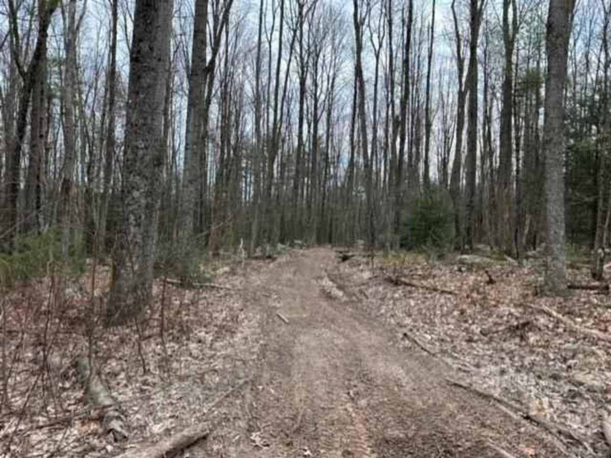Tower City 24 trail photo