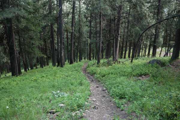 Canfield Mountain- Trail 3