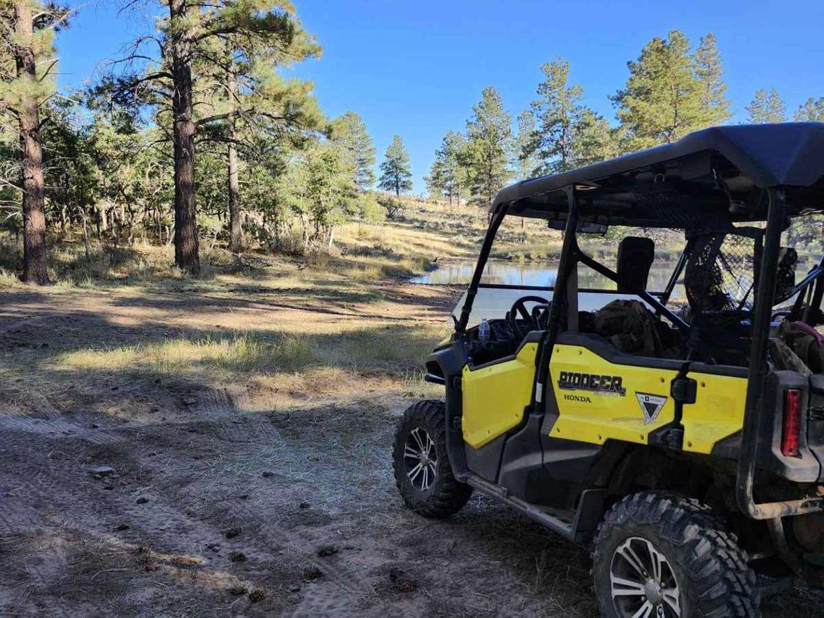 Lower Stock Pond Trail trail photo