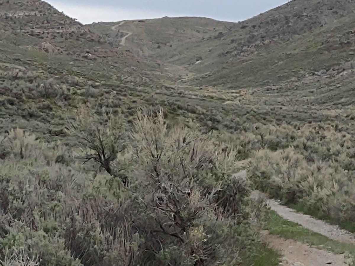 Hammond Canyon To Appendicitis Hill photo 2
