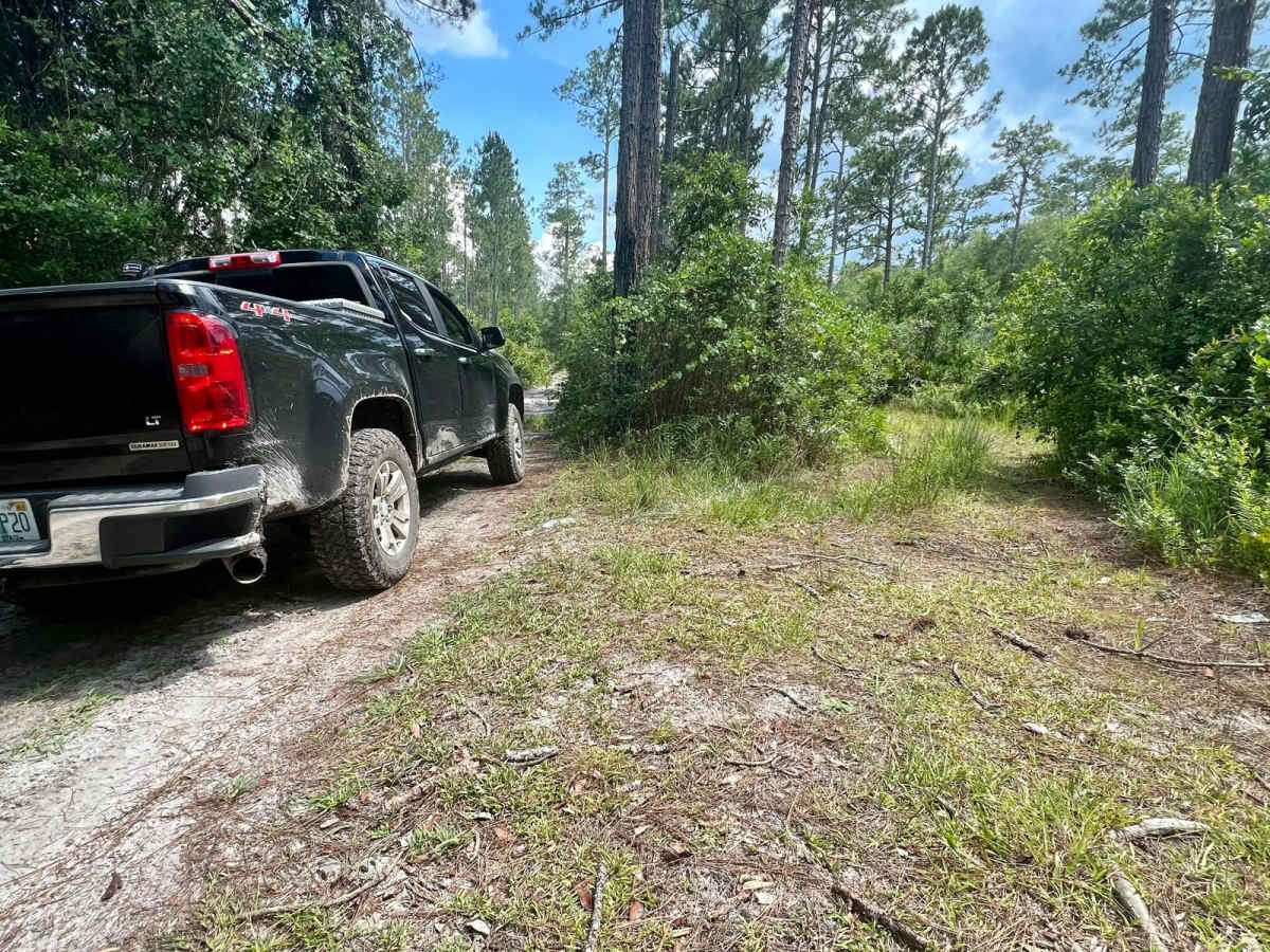 Ocala National Forest | Trail 314A-5.7 photo 4