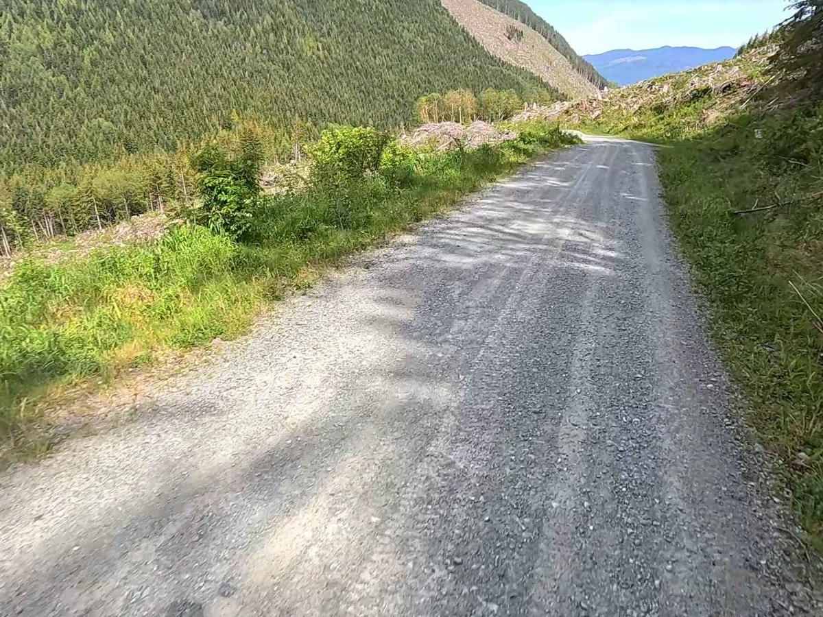 Finney-Cumberland - FS 17 trail photo