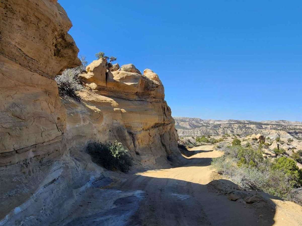 Glade North - Upper Mesa Trail trail photo