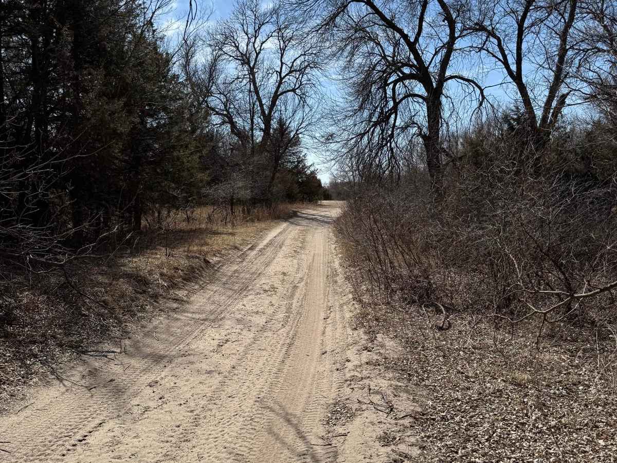 Forest Road 214-2 - County Line trail photo