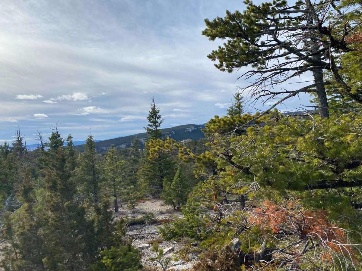 Bartleson Peak- J8823 photo 4