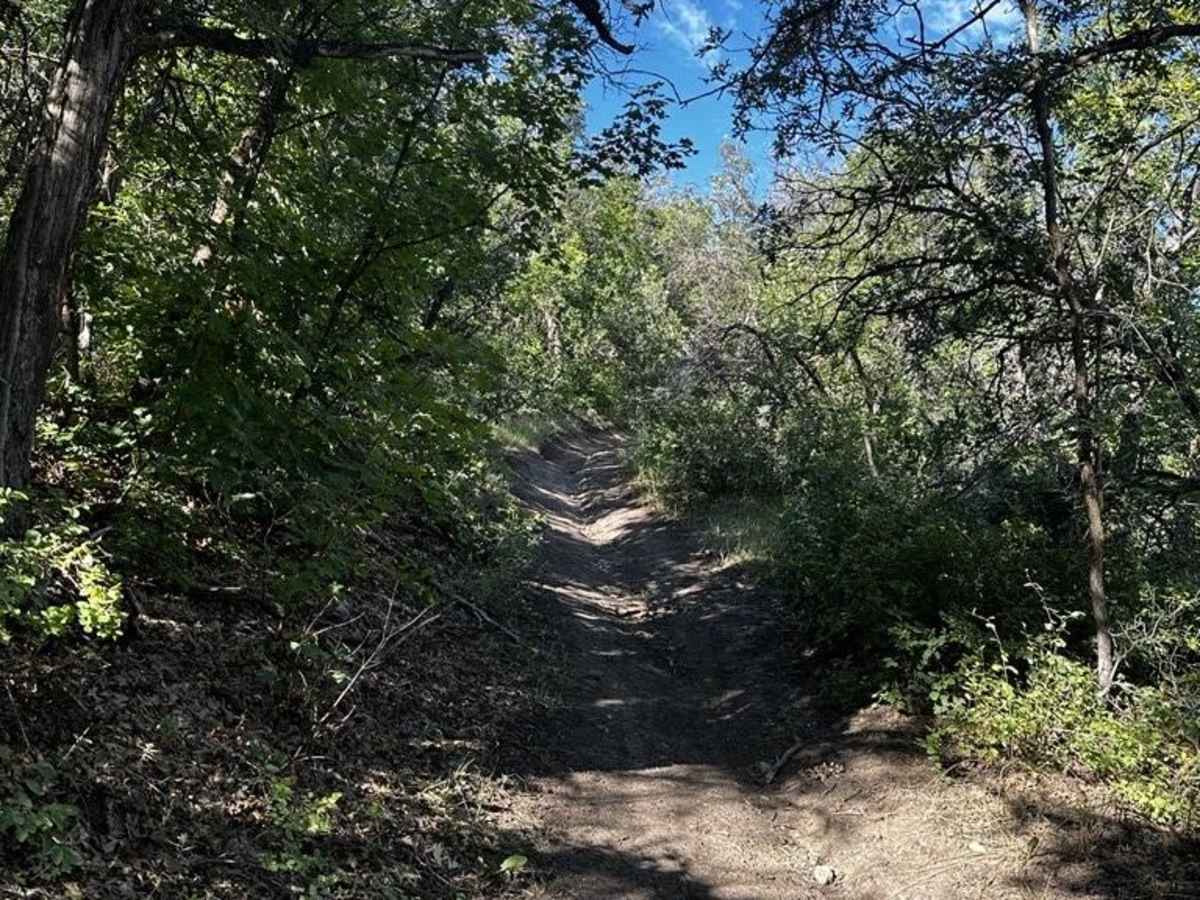 Packard Canyon Trail photo 3