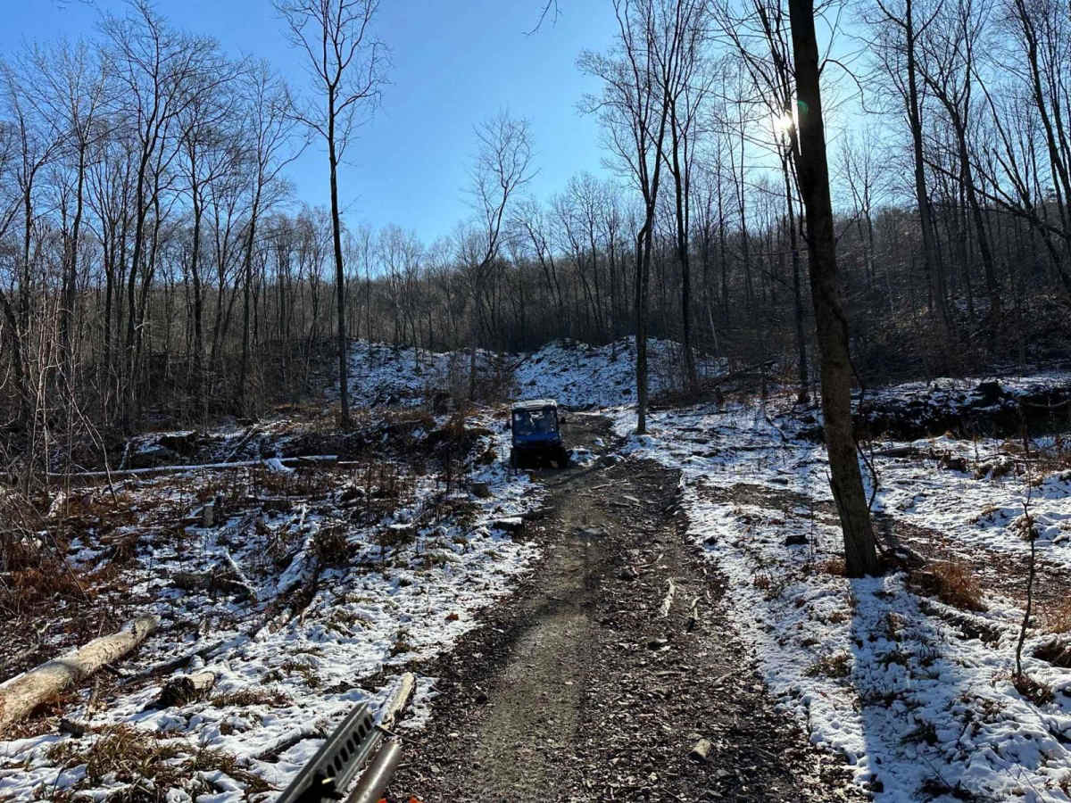 Locust Gap 73 photo 2