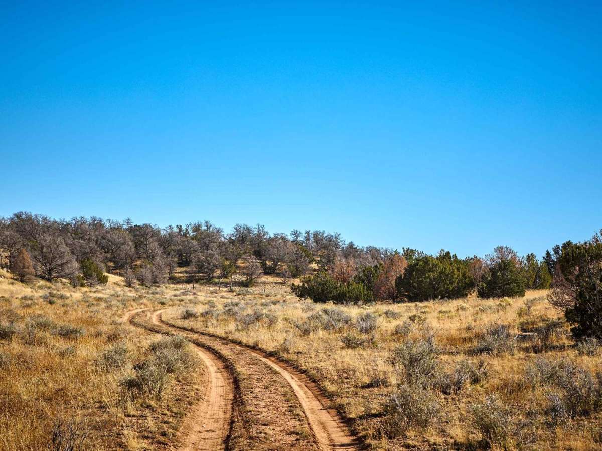 Old 2742 Road photo 5