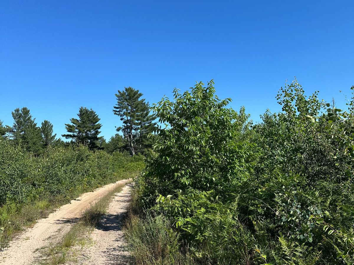 Barker Trail photo 3