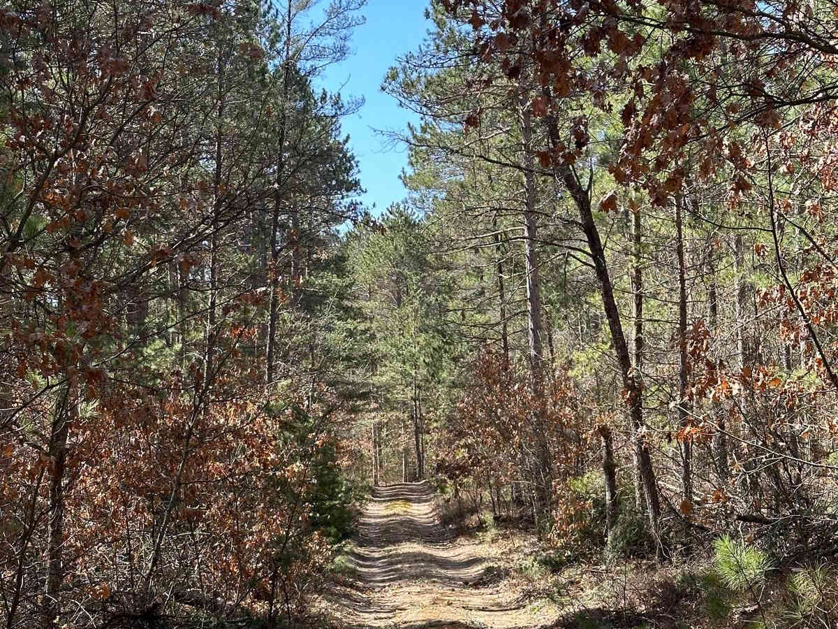 FS 4723 | Off-Road Trail Maps, Difficulty, Trail Status | onX Offroad