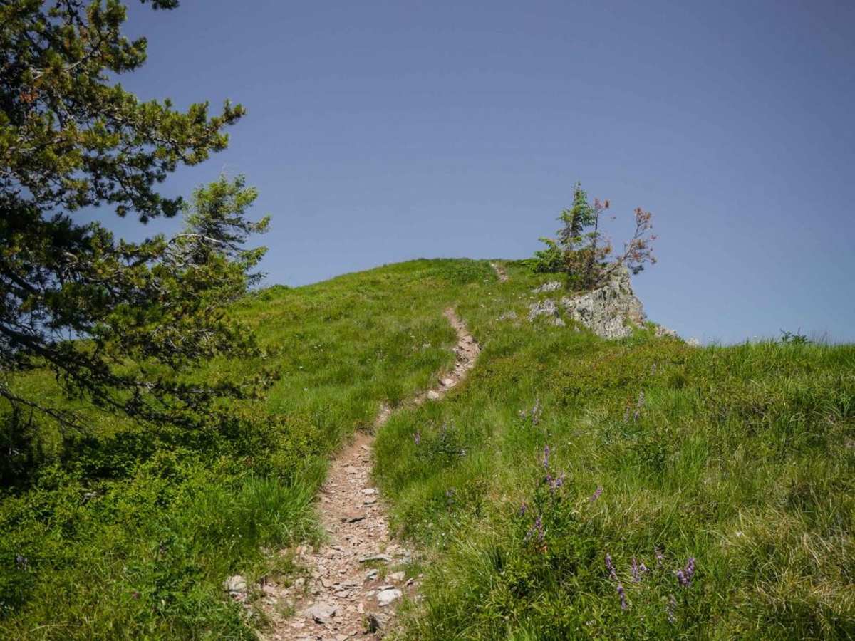 St. Joe Divide North trail photo