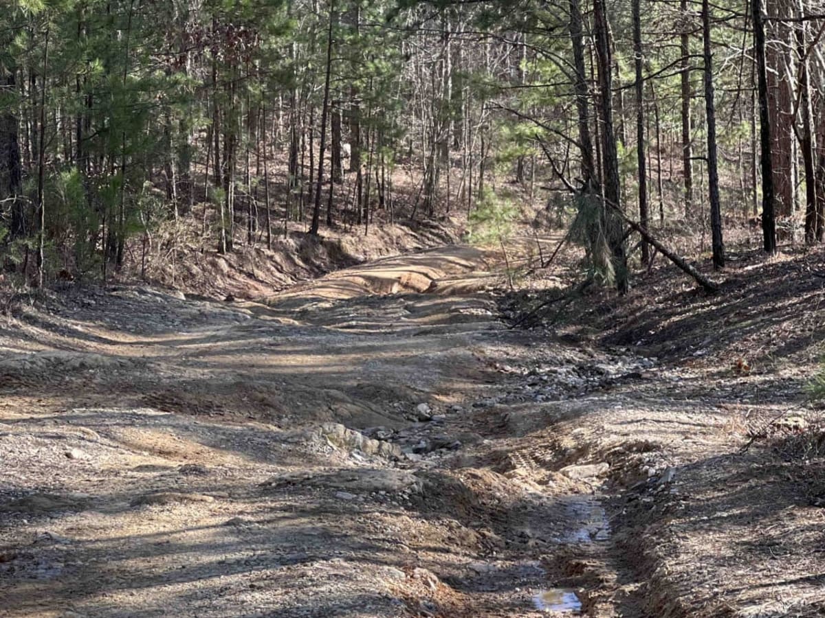 Wildcat Mountain 179 photo 5
