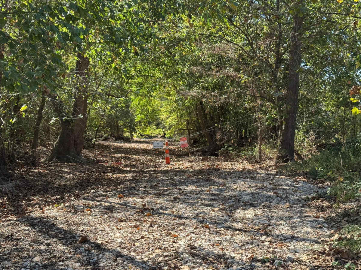 Creek Bed 12 photo 2