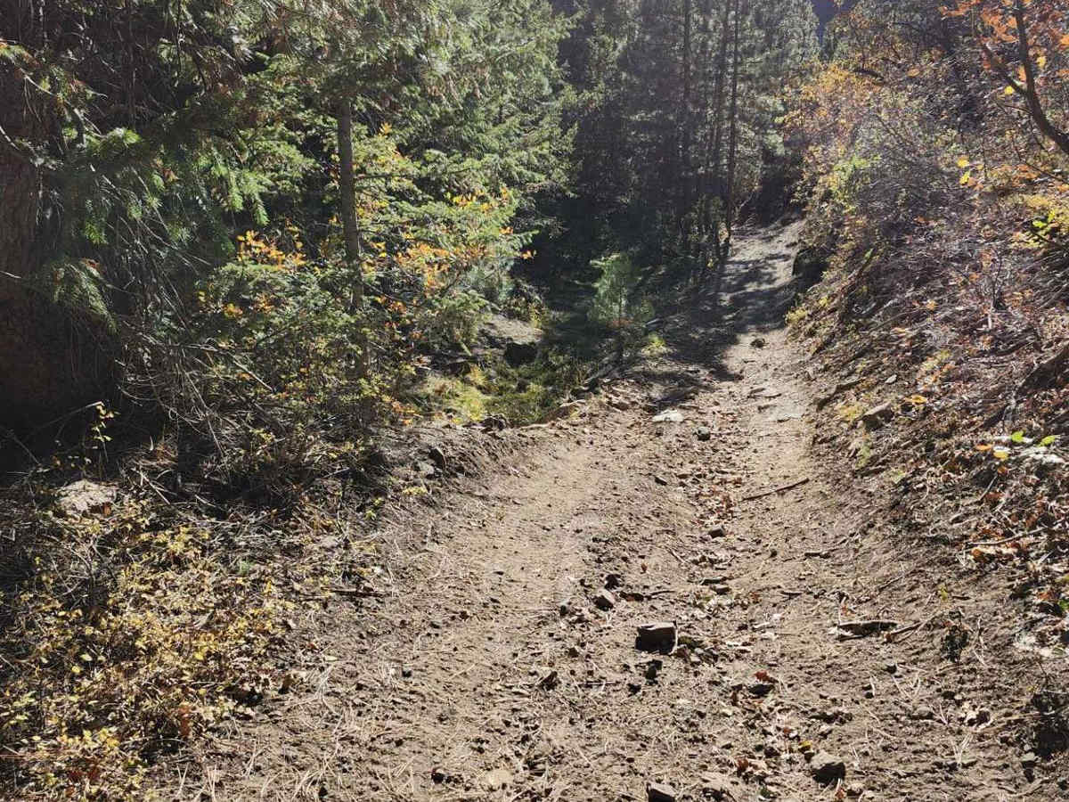 Camp Jackson Trail photo 4