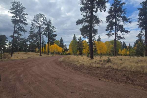 Hall Creek Road