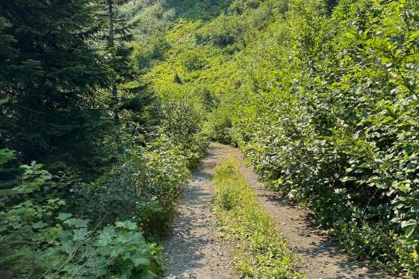 Forest Rd 5400000