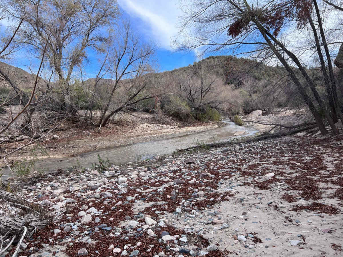 Buckskin Canyon photo 3