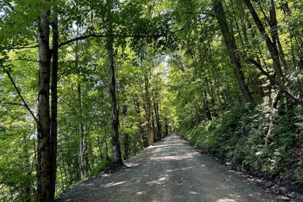 Howard Hill Road