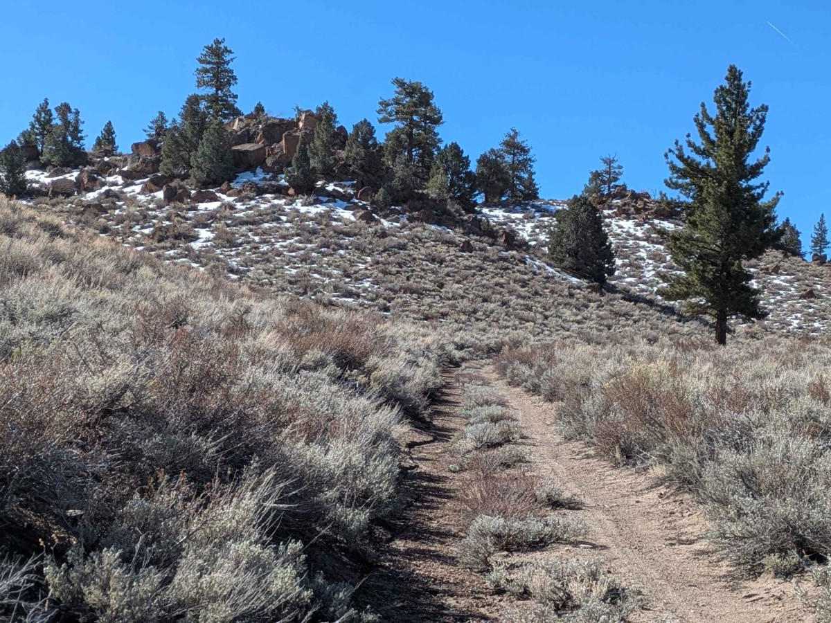 Round Mountain Turnoff - FS 3S54 photo 3