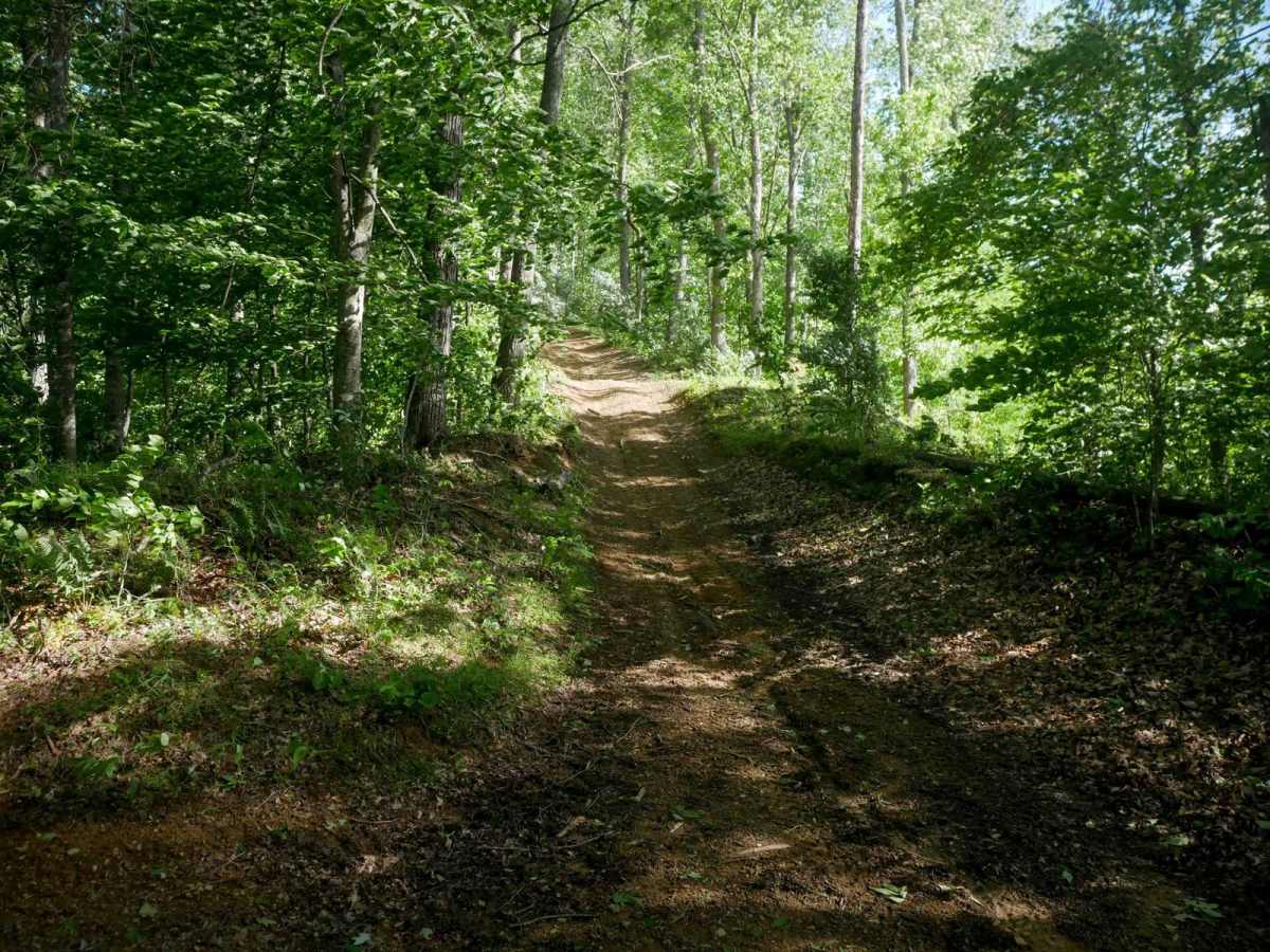 RV24 photo 2