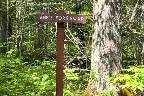 Abes Fork Road