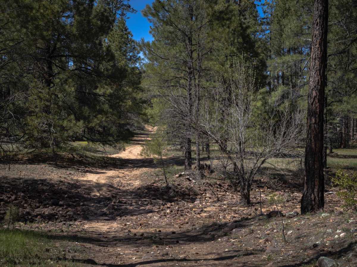 Turkey Run photo 3