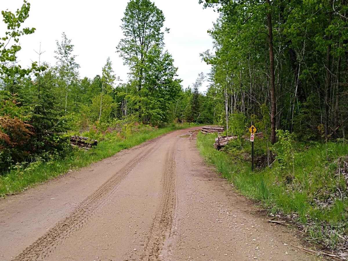 UPM Blandin Trail N photo 3