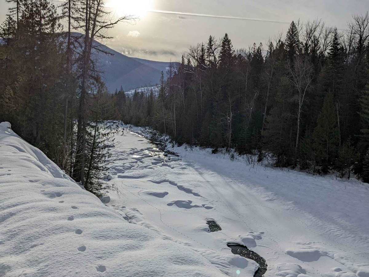 Goat River FSR photo 3