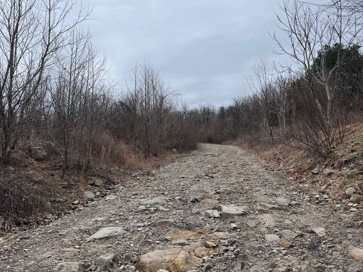 Trail 15 photo 4