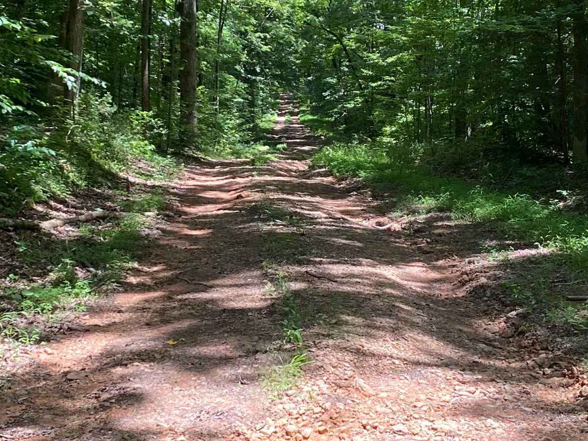 Bear Creek Road trail photo