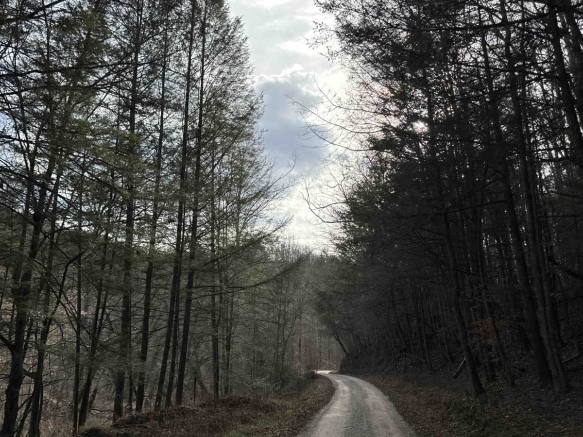 Earnestville Road to KAT Hard 2 photo 2