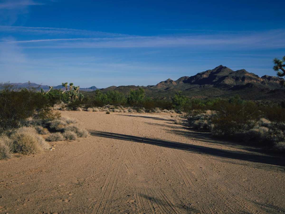 P1660 trail photo